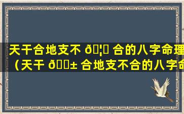 天干合地支不 🦅 合的八字命理（天干 🐱 合地支不合的八字命理是什么）